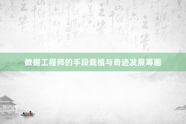 数据工程师的手段栽植与奇迹发展筹画
